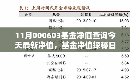 今日揭曉，11月000603基金凈值探秘，友情與家庭溫暖相伴的溫馨凈值報告