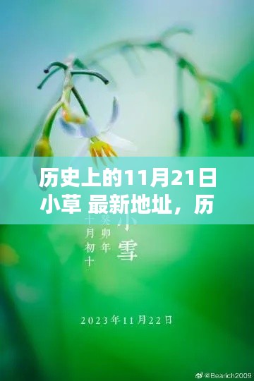 新聞動(dòng)態(tài) 第462頁
