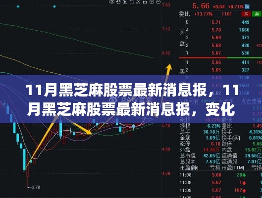 11月黑芝麻股票最新動態，變化中的學習之路，成就感的源泉，攜手共創成功未來