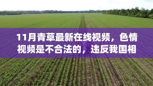 警惕色情風險，遠離非法內(nèi)容，拒絕11月青草最新在線視頻