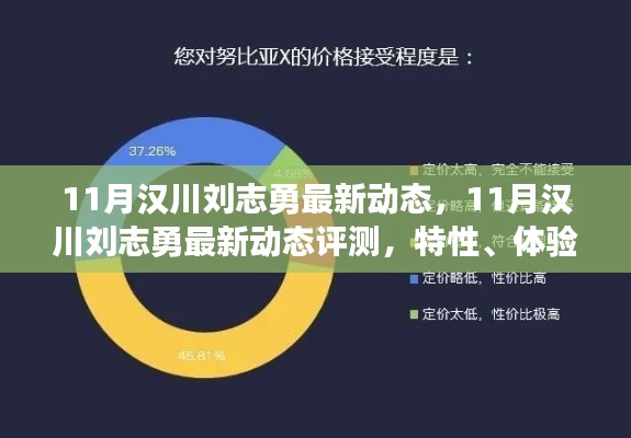 漢川劉志勇最新動(dòng)態(tài)評(píng)測(cè)，特性、體驗(yàn)、競(jìng)爭(zhēng)分析與用戶洞察深度解析