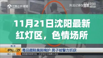 獨學寡聞 第6頁