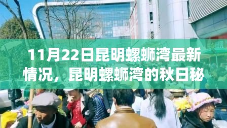 昆明螺螄灣秋日秘境探秘，11月22日最新情況與內心平靜的旅行記