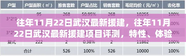 往年11月22日武漢援建項目深度解析，特性、體驗、競品對比及用戶群體分析