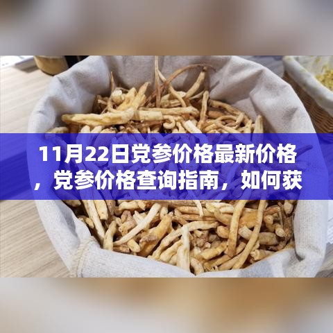 11月22日黨參價格最新價格，黨參價格查詢指南，如何獲取11月22日最新黨參價格