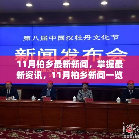 11月柏鄉新聞速遞，最新資訊一覽與理解新聞詳情的步驟指南