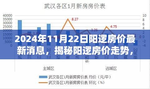 陽邏房價最新動態(tài)，深度分析走勢與揭秘最新消息（2024年11月22日）