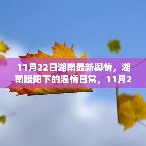 湖南溫情日常，城市輕語與友情漣漪（11月22日最新輿情）