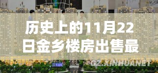 歷史上的今天，揭秘金鄉樓房出售最新消息，獨家報道于11月22日