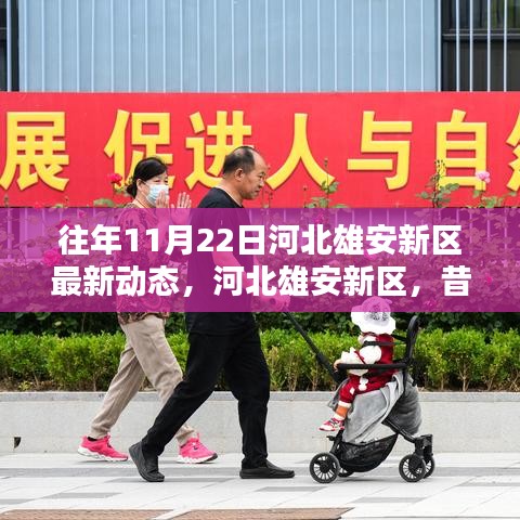 河北雄安新區(qū)歷年11月22日最新動(dòng)態(tài)，昔日藍(lán)圖成現(xiàn)實(shí)進(jìn)展探析