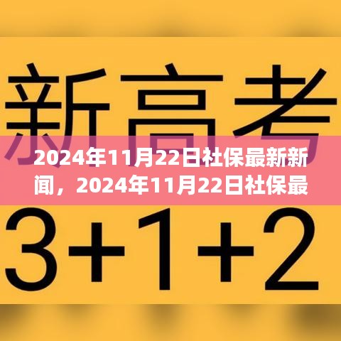 2024年11月22日社保動態(tài)更新，改革進(jìn)展與未來展望