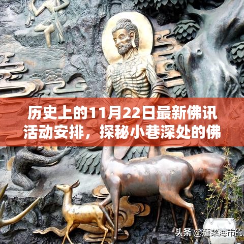 歷史上的11月22日佛訊活動揭秘，小巷深處的盛宴與最新動態