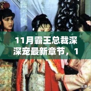 最新章節(jié)深度解析與賞析，11月霸王總裁深深寵