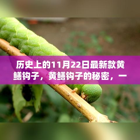 智慧學園SAAS運營服務 第446頁