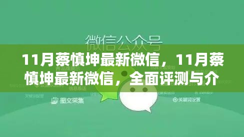 蔡慎坤最新微信評測與介紹，全面解讀十一月最新動態(tài)