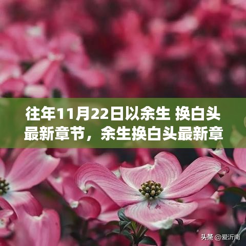最新章節獲取指南，余生換白頭閱讀攻略與獲取方法揭秘！