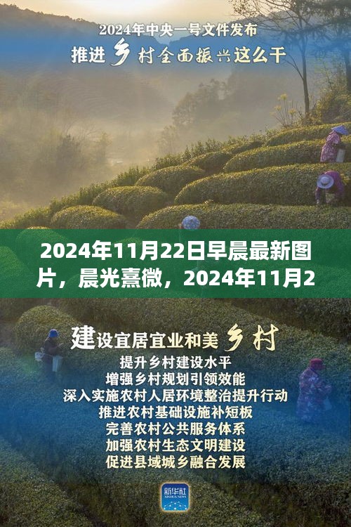 晨光熹微，探索早晨圖片的誕生與影響