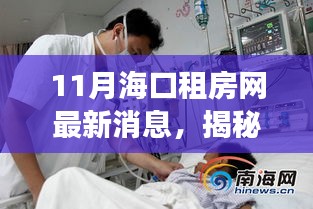 海口租房市場最新動(dòng)態(tài)揭秘，11月租房網(wǎng)消息全面解讀