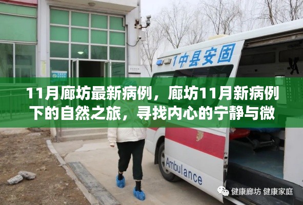 廊坊11月新病例下的自然之旅，探尋內(nèi)心寧?kù)o與微笑之旅
