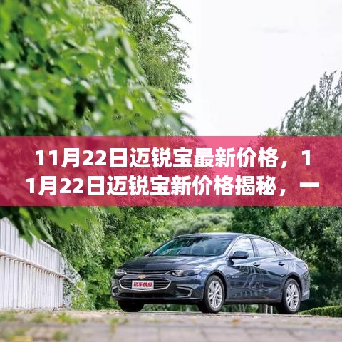 11月22日邁銳寶新價(jià)格揭秘，自然美景下的心靈之旅