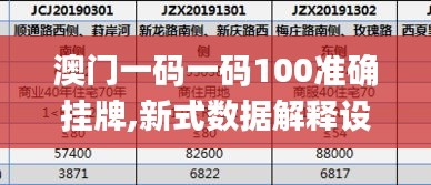 澳門一碼一碼100準(zhǔn)確掛牌,新式數(shù)據(jù)解釋設(shè)想_定制版PJM2.30