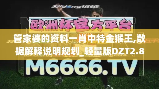 管家婆的資料一肖中特金猴王,數(shù)據(jù)解釋說(shuō)明規(guī)劃_輕量版DZT2.86