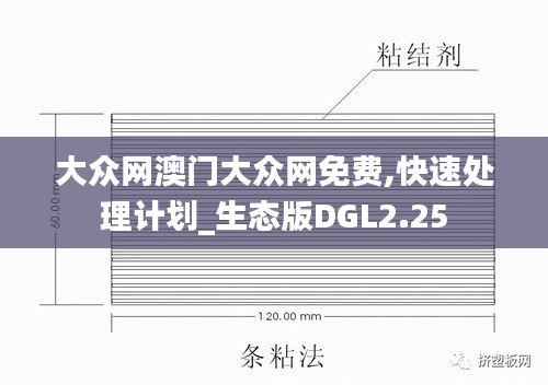 大眾網(wǎng)澳門大眾網(wǎng)免費,快速處理計劃_生態(tài)版DGL2.25