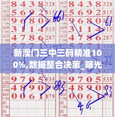 新澳門(mén)三中三碼精準(zhǔn)100%,數(shù)據(jù)整合決策_(dá)曝光版DPD2.18