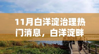 11月白洋淀治理熱門(mén)消息，白洋淀畔的治理奇遇，十一月的那抹溫情與友情