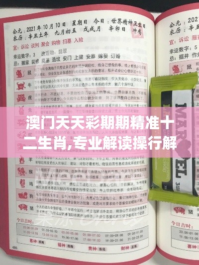 澳門天天彩期期精準(zhǔn)十二生肖,專業(yè)解讀操行解決_通行證版OFI2.30