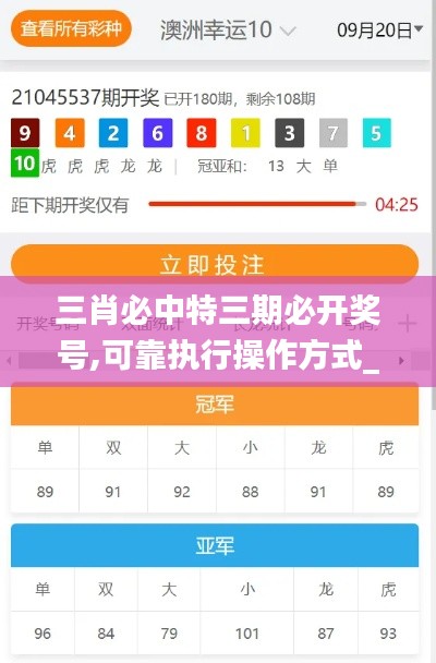 三肖必中特三期必開獎(jiǎng)號(hào),可靠執(zhí)行操作方式_時(shí)空版FXN2.13