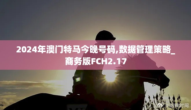2024年澳門特馬今晚號碼,數(shù)據(jù)管理策略_商務(wù)版FCH2.17