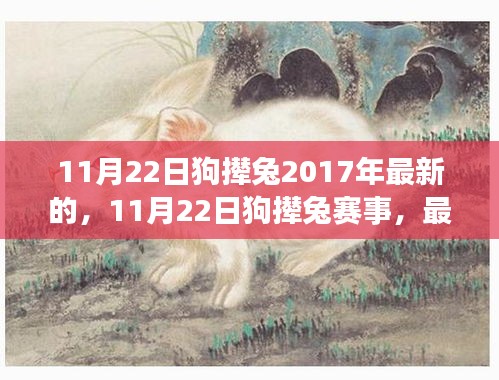最新動態(tài)下的觀點碰撞與個人立場，揭秘11月22日狗攆兔賽事