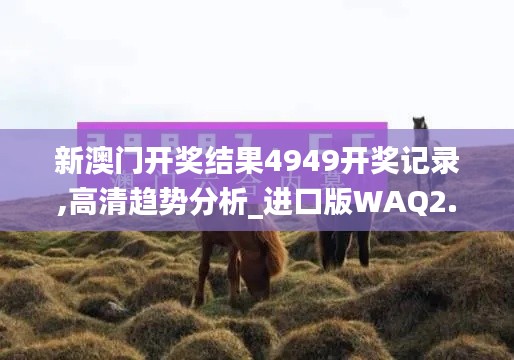新聞動態 第441頁