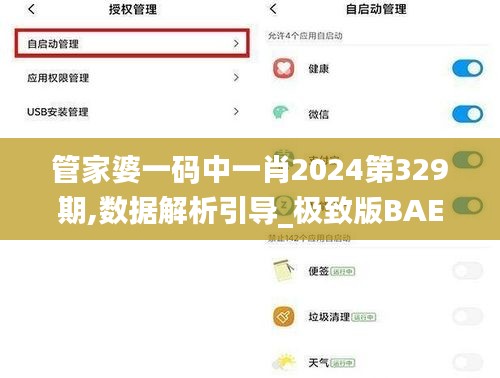 管家婆一碼中一肖2024第329期,數(shù)據(jù)解析引導_極致版BAE11.21