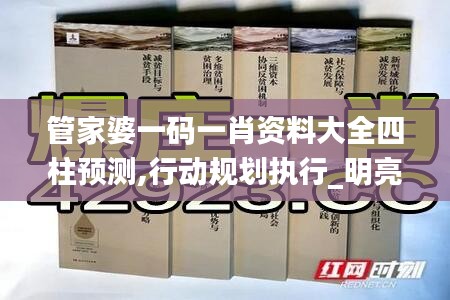 管家婆一碼一肖資料大全四柱預(yù)測(cè),行動(dòng)規(guī)劃執(zhí)行_明亮版ZSS2.1