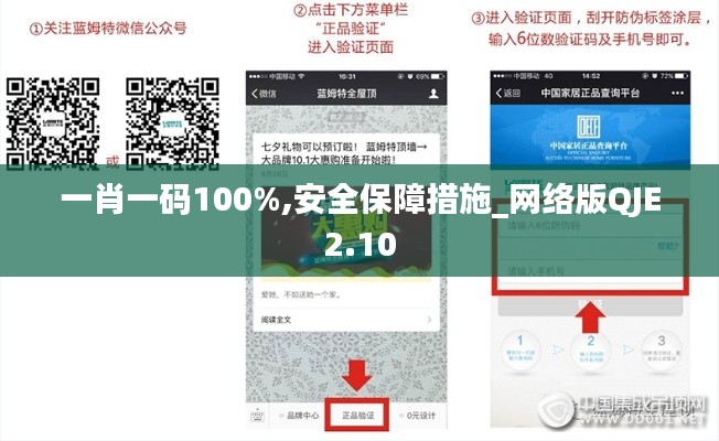 一肖一碼100%,安全保障措施_網(wǎng)絡版QJE2.10