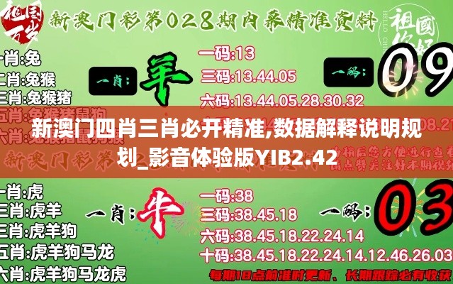 新澳門四肖三肖必開精準(zhǔn),數(shù)據(jù)解釋說明規(guī)劃_影音體驗(yàn)版YIB2.42