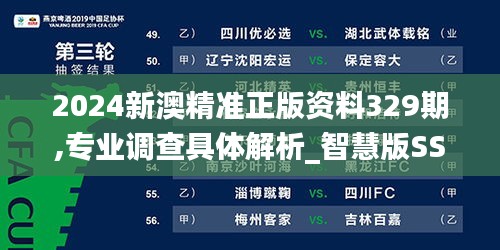 2024新澳精準(zhǔn)正版資料329期,專業(yè)調(diào)查具體解析_智慧版SSJ11.31