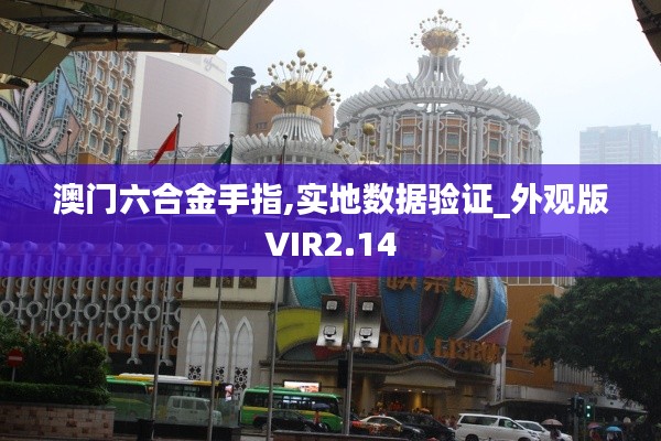 澳門六合金手指,實地數(shù)據(jù)驗證_外觀版VIR2.14