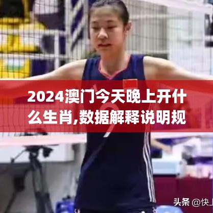 2024澳門今天晚上開什么生肖,數據解釋說明規劃_改進版QFG2.95