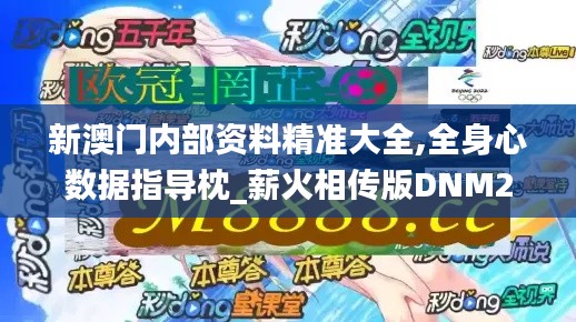 新澳門內(nèi)部資料精準大全,全身心數(shù)據(jù)指導枕_薪火相傳版DNM2.15