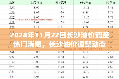 2024年11月22日長(zhǎng)沙油價(jià)調(diào)整動(dòng)態(tài)及熱門(mén)消息聚焦