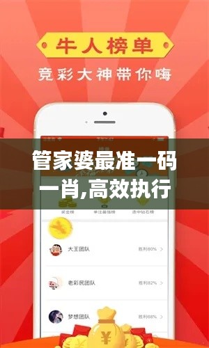 管家婆最準(zhǔn)一碼一肖,高效執(zhí)行方案_別致版YAA2.72