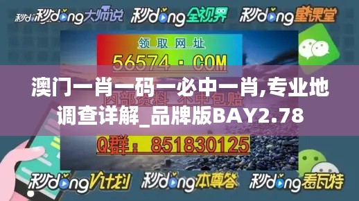澳門一肖一碼一必中一肖,專業(yè)地調查詳解_品牌版BAY2.78