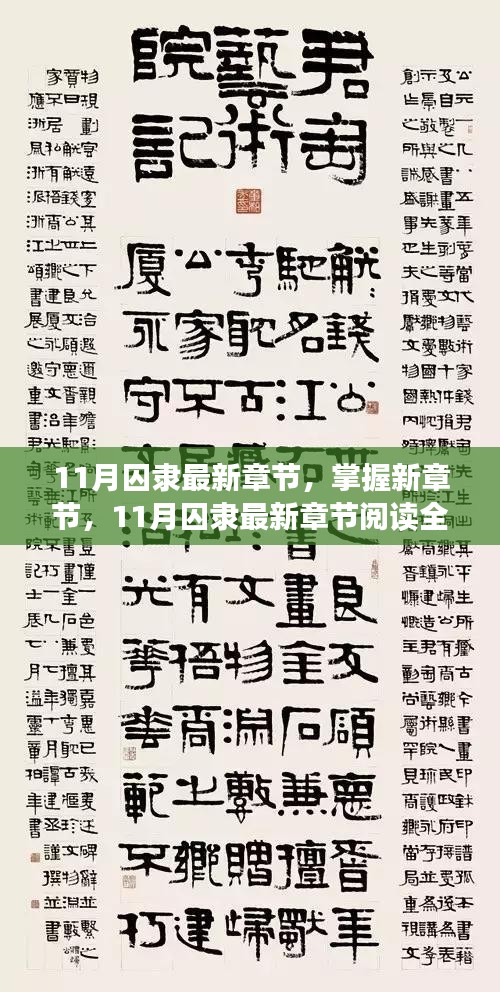 11月囚隸最新章節全攻略，掌握新章節閱讀