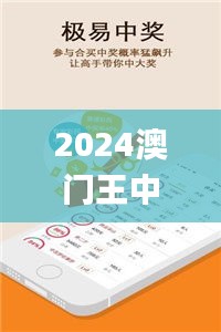 2024澳門(mén)王中王100%期期中,全面信息解釋定義_內(nèi)置版WMO2.52