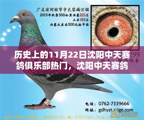 揭秘歷史熱門日，沈陽中天賽鴿俱樂部攜手科技革新，體驗高科技賽鴿盛宴的獨家魅力