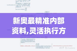 新奧最精準內部資料,靈活執行方案_知曉版QDG2.73