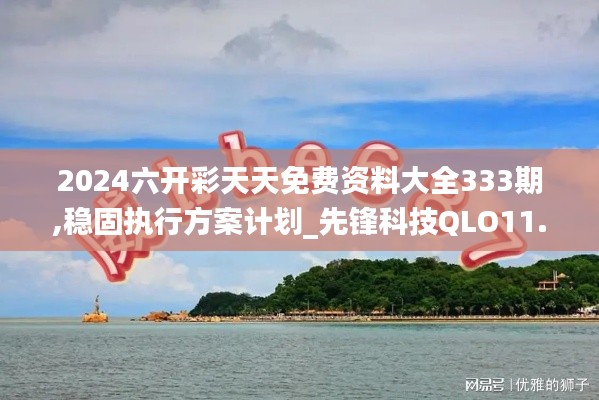 2024六開(kāi)彩天天免費(fèi)資料大全333期,穩(wěn)固執(zhí)行方案計(jì)劃_先鋒科技QLO11.1